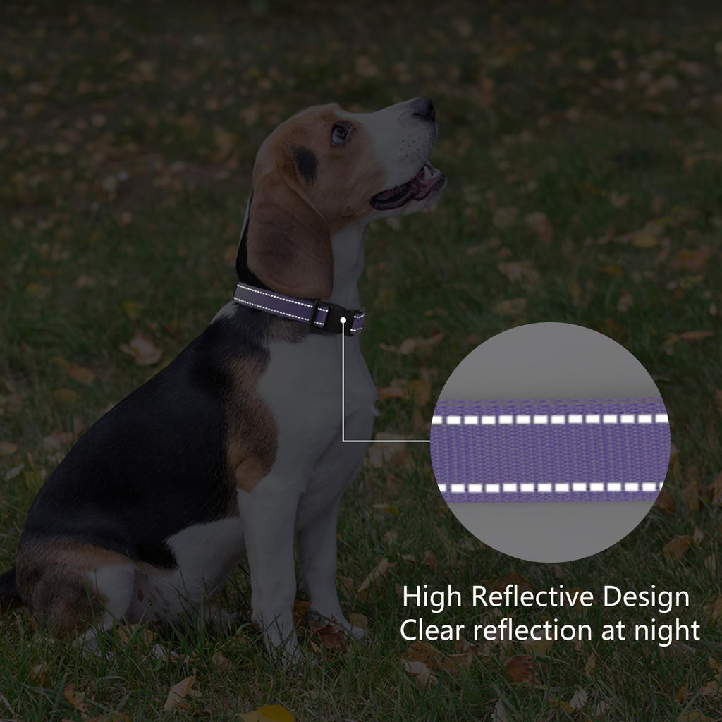 PenSeepet Reflective Dog Collar, Adjustable Nylon for Medium Dogs,Purple