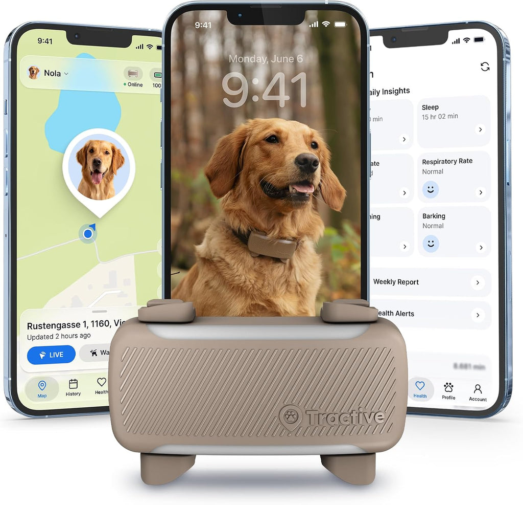 Tractive XL Smart Dog GPS Tracker | Live Pet Tracker with Virtual Fence | Vital Signs Monitoring of Heart & Respiratory 