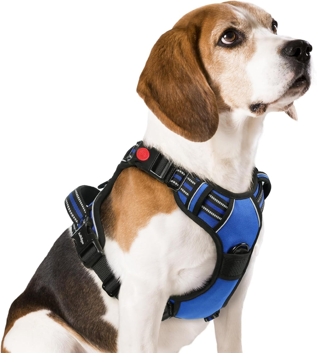 rabbitgoo Dog Harness for Large, Updated Easy On & Off with 3 Buckles