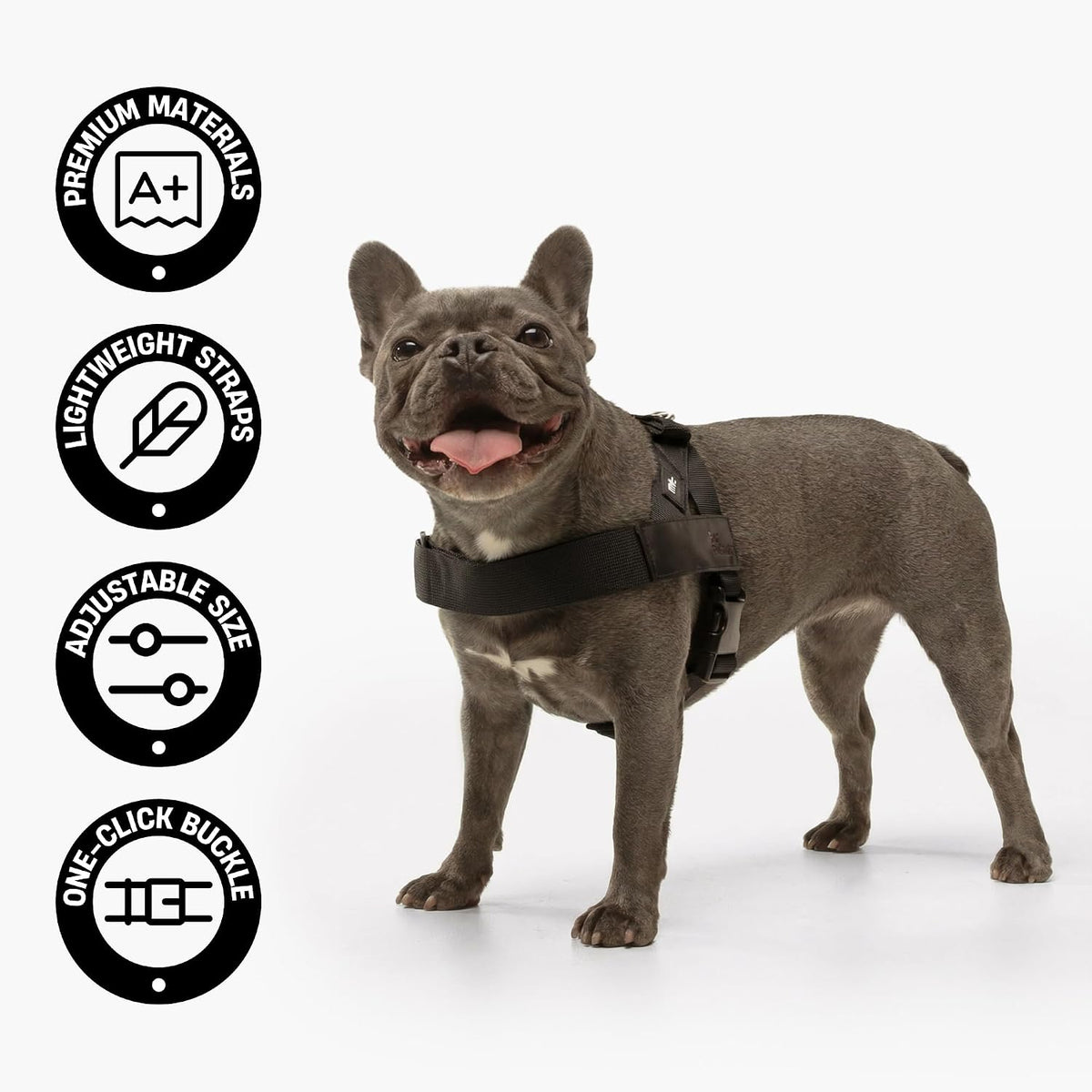 Dog Friendly Co. Dog Harness for Medium Sized Dogs (Pink, Medium)