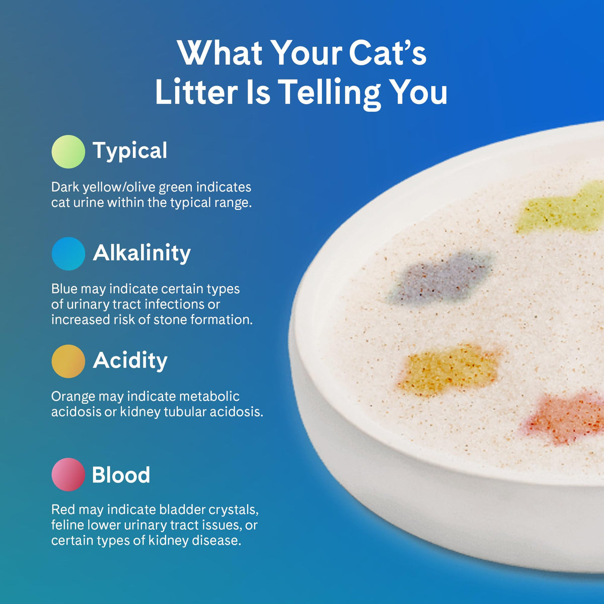 PrettyLitter Health Monitoring Cat Litter, Unscented, 2-Pack, 6 lb. Bags