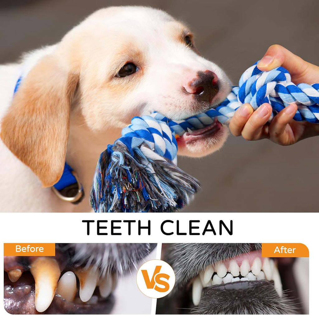 2 Pack Chew Toys, for Aggressive Chewers
