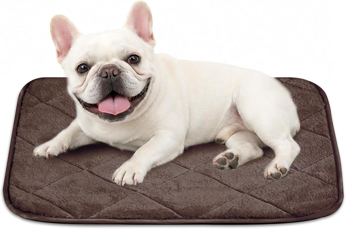 NWK Self Warming Thermal Pet Mat for Dogs and Cats (Coffee Brown, Small)