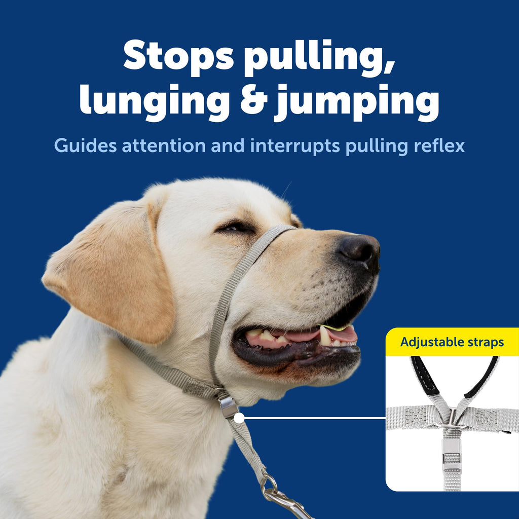 PetSafe Gentle Leader No Pull Dog Headcollar, Black, Medium