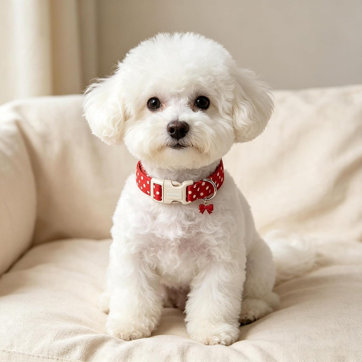 Red White Polka Dot Dog Collar for Small Dogs S