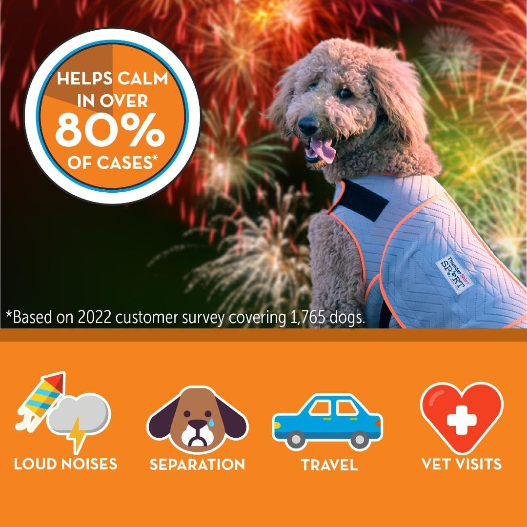 ThunderShirt for Dogs Calming Anxiety Vest, Large, Platinum Sport