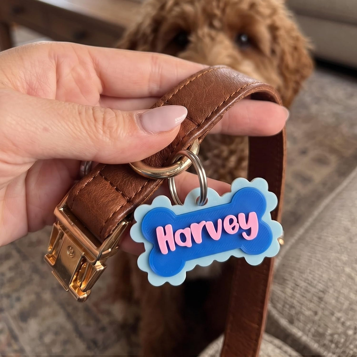 Personalized 3D Printed Bone Pet Name Tag with Phone Number for Pet Owners