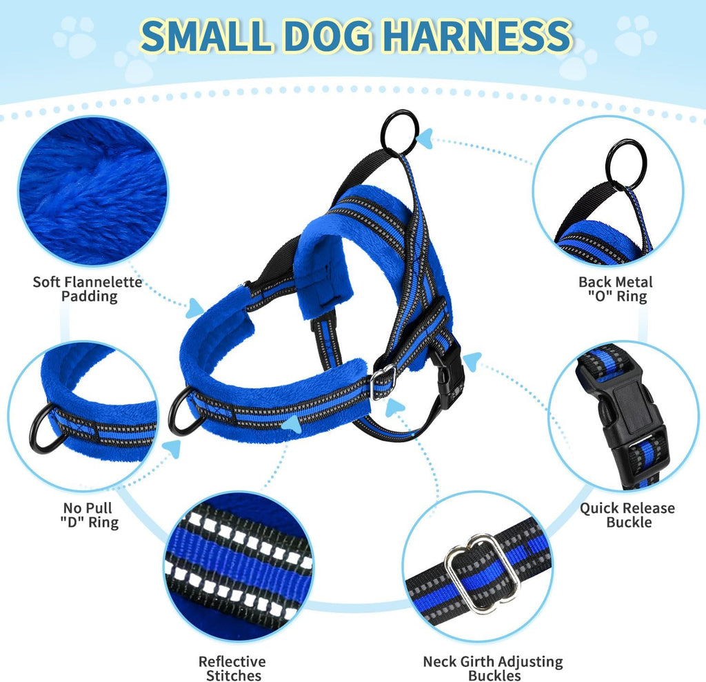 Lukovee Small Dog Harness and Leash Set, No Pull Soft Padded, 4ft Leash, XS