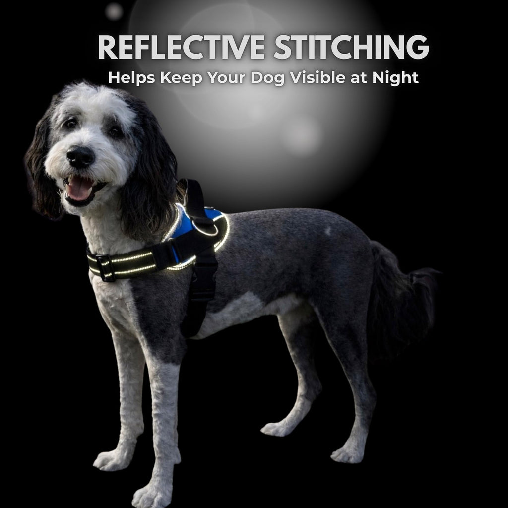 ShawnCo Essential Dog Harness, No-Pull Pet Vest (Oceanic Blue,S)