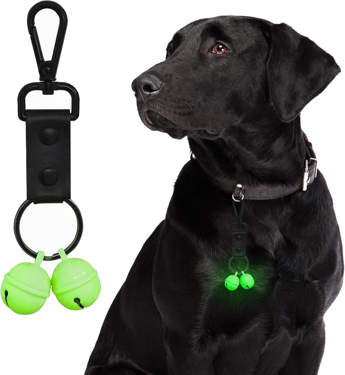 Bells for Dog Collar, Glow Bell for Medium to Large Dogs, Easy Clip Clasp, Extra Loud Pet Tracker & Save Wildlife, Durab