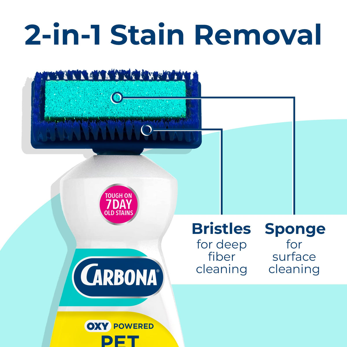 Carbona 2-in-1 Oxy-Powered Pet Stain & Odor Remover, 13.5 Fl Oz