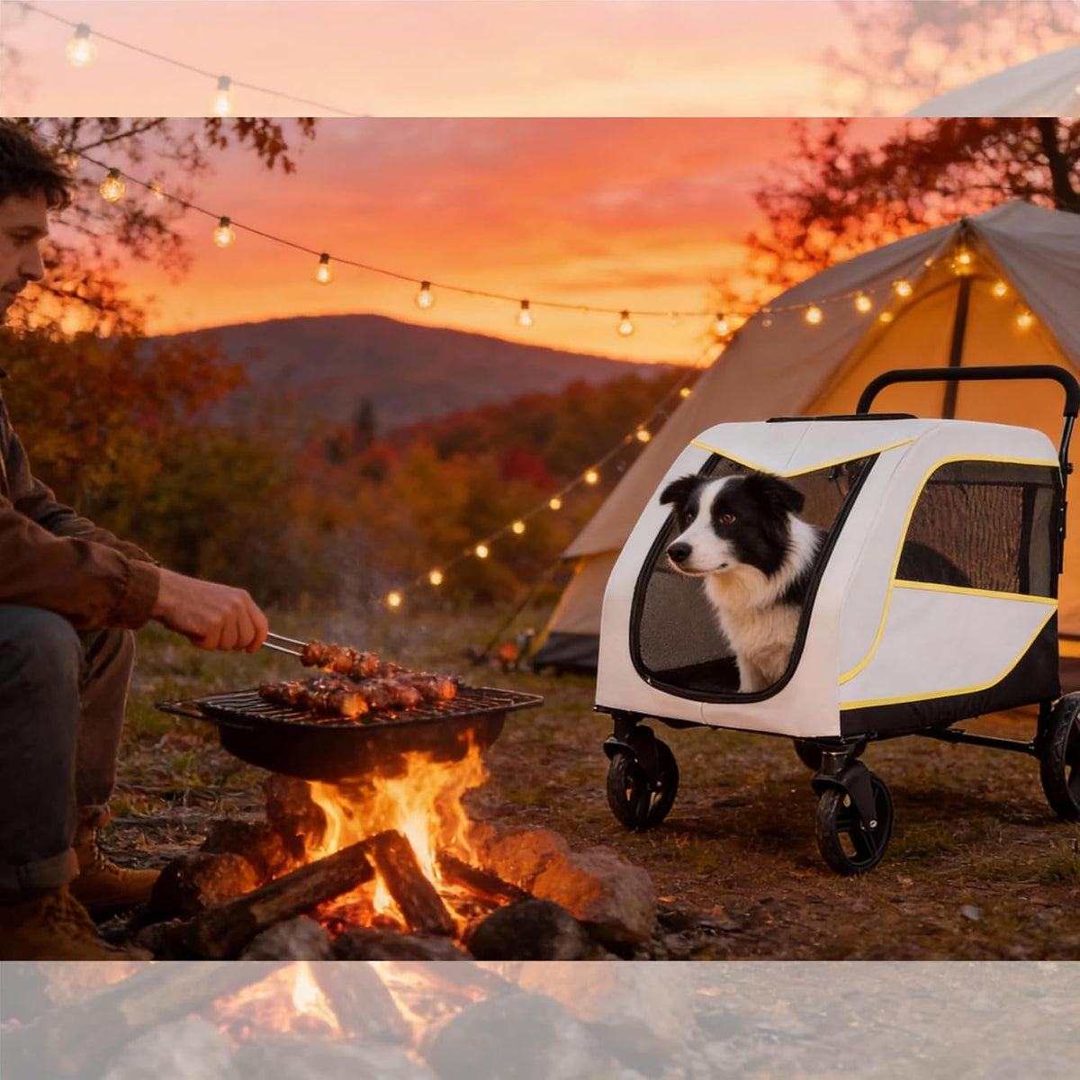 Heavy-Duty All-Terrain Dog Stroller for Large & Senior Dogs