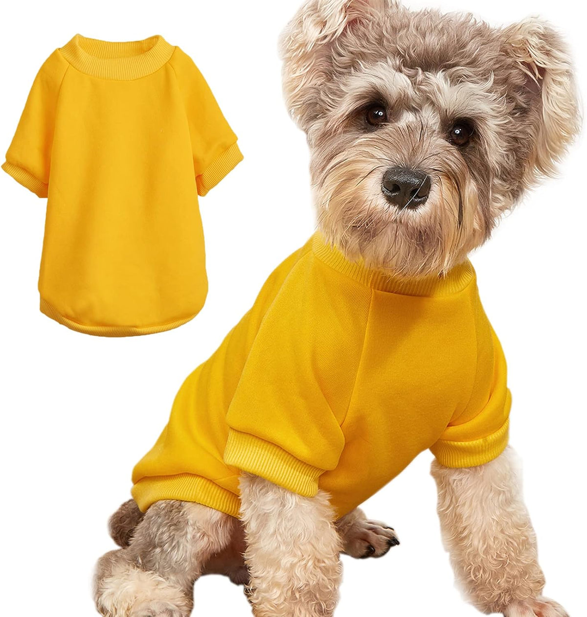 Soft Puppy Sweater for Small Dogs Winter Knit Pullover, Green M
