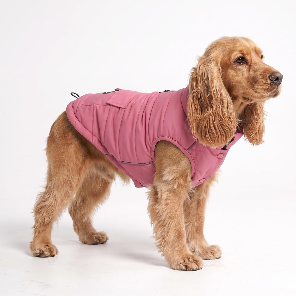 Spark Paws Dog Winter Coat Jacket - Warm Dog Clothes for Small Large Dogs