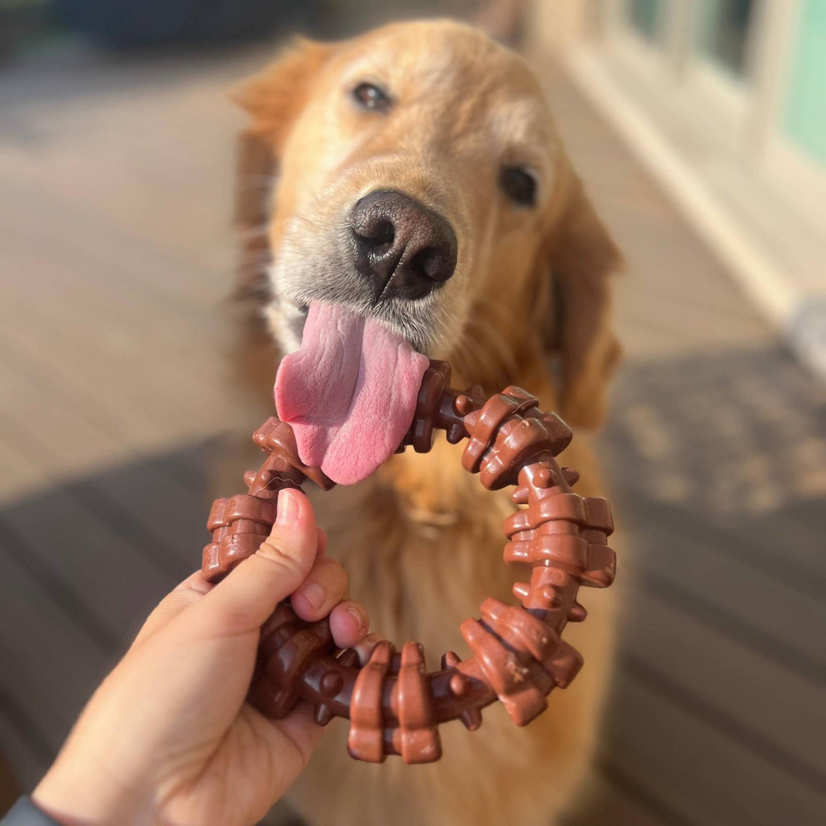 Nylabone Textured Ring Power Chew Toy for X-Large Dogs 50+ lbs