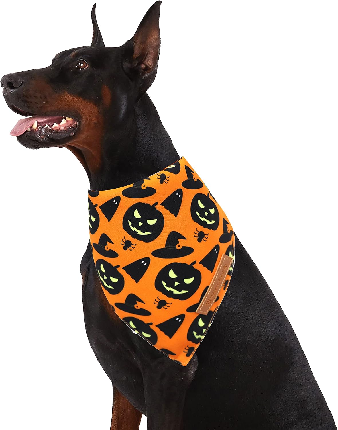 Halloween Dog Bandanas 2 Pack, Pumpkin and Spider Web Bibs, Triangle Reversible Fall Pet Scarf, Premium Durable Fabric, 