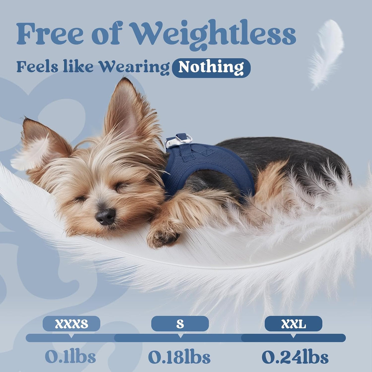 rabbitgoo Step-in Small Dog Harness, Puppy Vest for Small Sized Pet