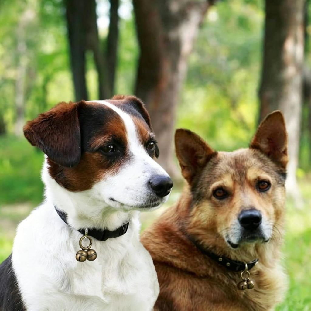 Dog Bells for Pet Tracking, 4 Extra Loud Dog & Cat Bells for Collar