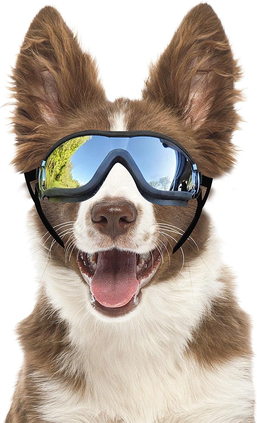 Dog Goggles Small Breed Windproof Anti-Fog Dog Sunglasses Clear View Dog Glasses for Walks/Car Rides/Motorcycle Riding/B