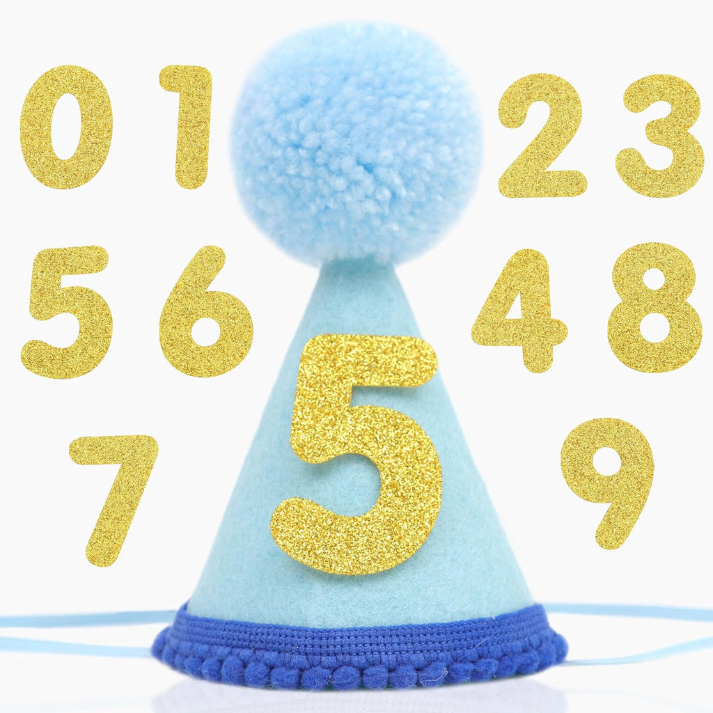Pet Birthday Hat with Interchangeable Numbers 1-10 | Adjustable Pet Party Cone Hat for Dogs & Cats | Puppy Birthday Phot