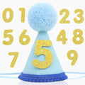 Pet Birthday Hat with Interchangeable Numbers 1-10 | Adjustable Pet Party Cone Hat for Dogs & Cats | Puppy Birthday Phot