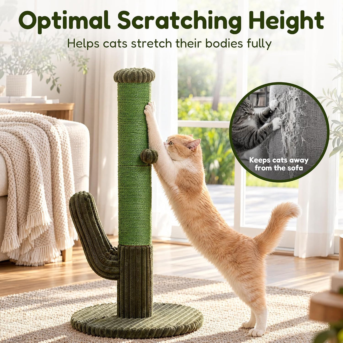 Cactus Cat Scratching Post, Natural Sisal Cat Scratcher with Toy