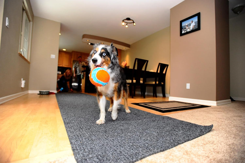 Chuckit! Indoor Fetch Ball Dog Toy, 4.75in, Orange and Blue