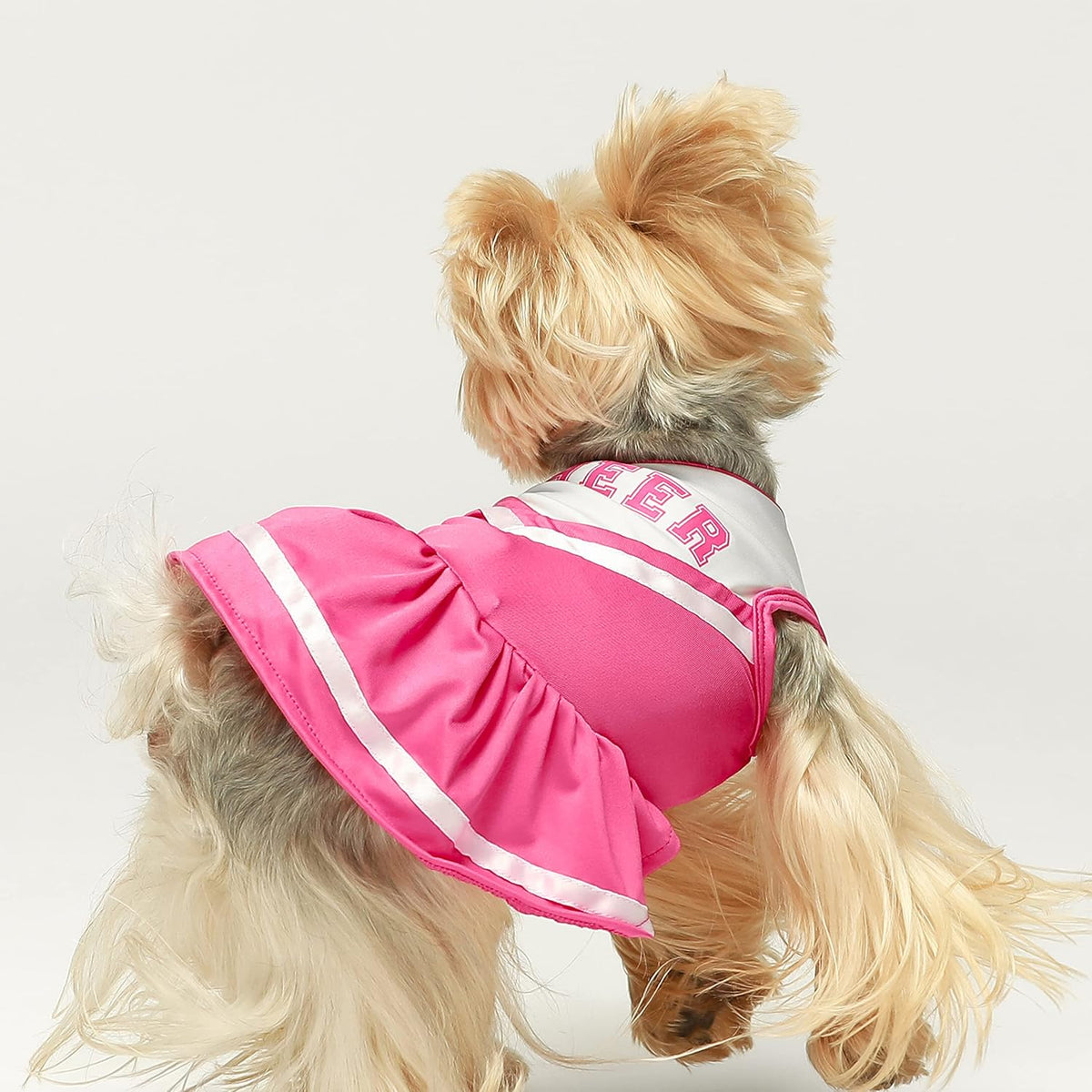 Fitwarm Cheerleader Dog Costume, Sporty Cheer Dog Dress for Small Dogs Girl, Pet Clothes Cat Outfits, Pink White, Small