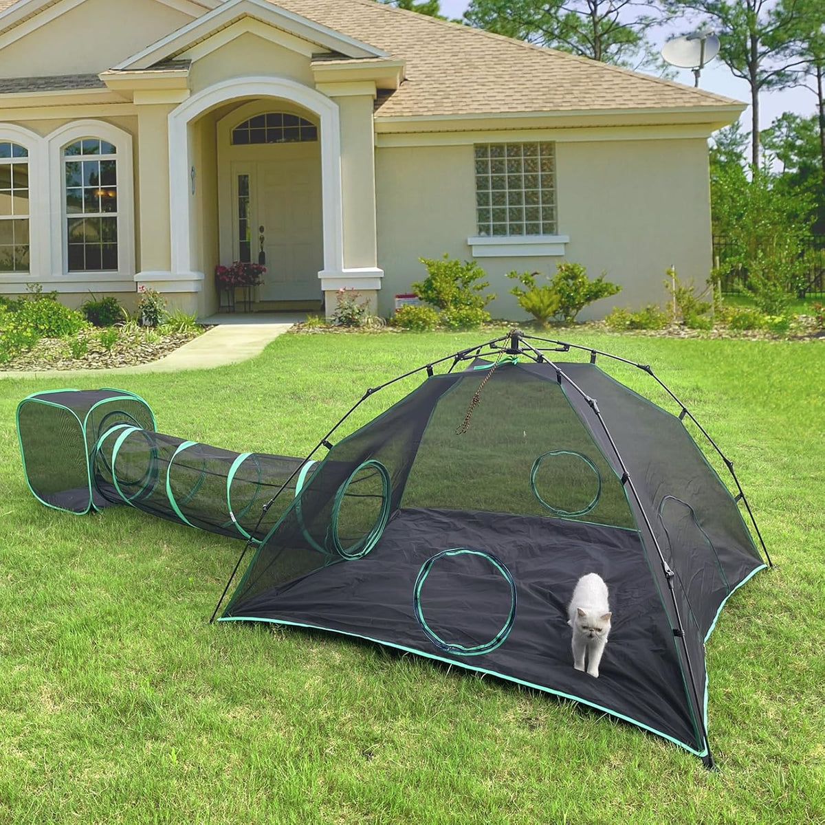 6-in-1 Cat Tent & Enclosure Outdoor, Foldable Playpen with Tunnels