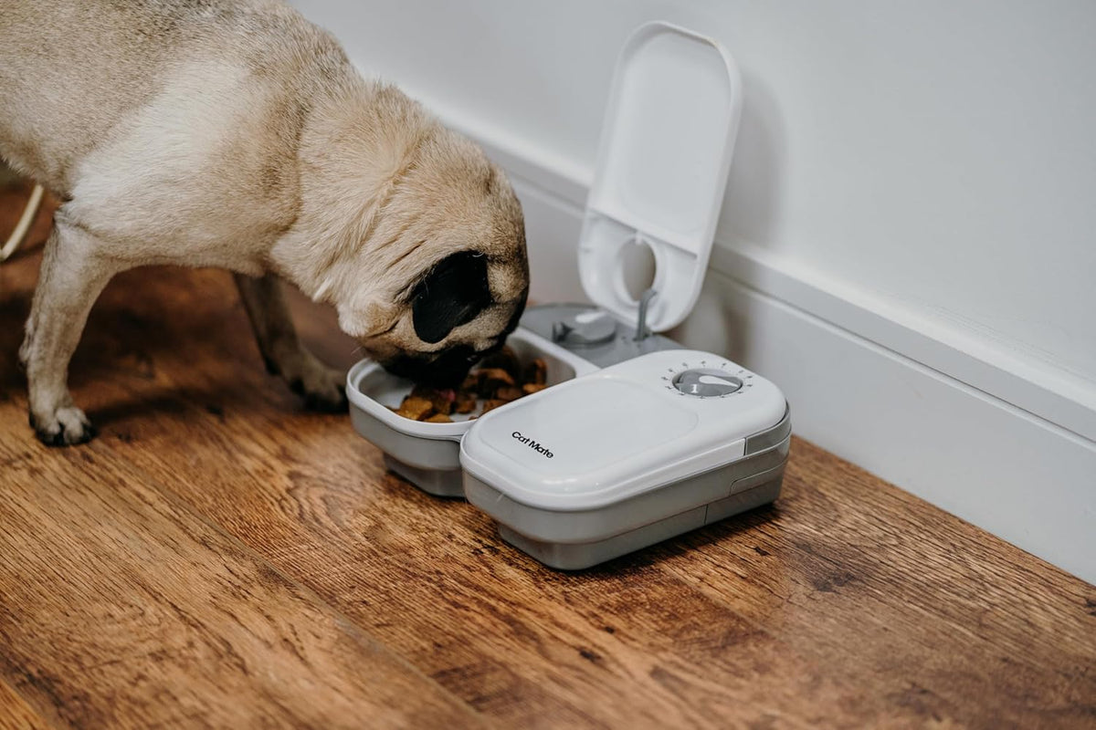 Cat Mate 2-Meal Automatic Pet Feeder, for Cats & Small Dogs, 800g / 1.78 lb