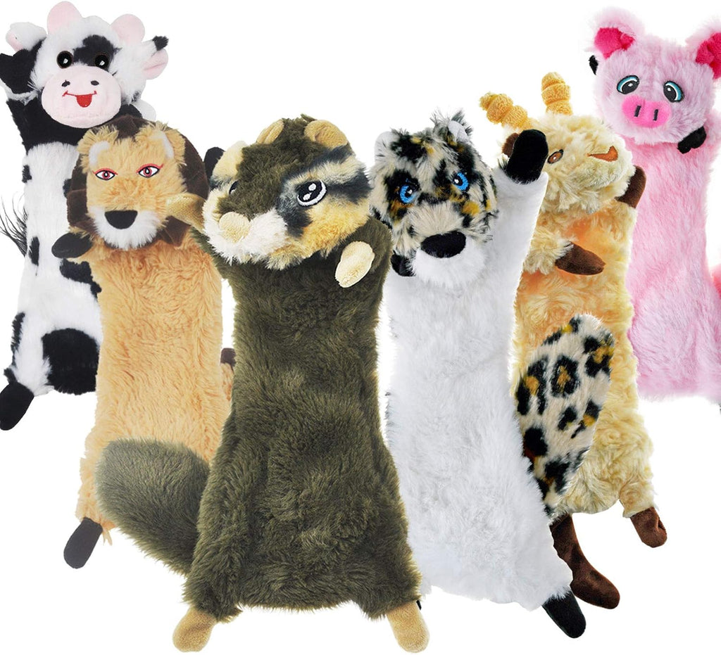 Dog Squeaky Toy No Stuffing 6 Pack, Dog Toys Crinkle for Puppy