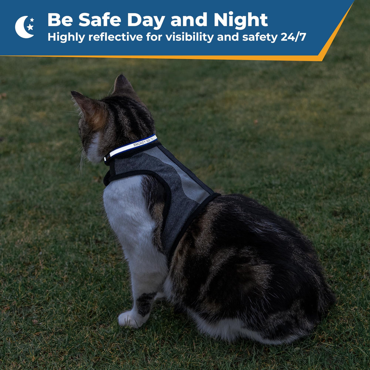 GoTags Personalized Reflective Cat Collars, Engraved Custom Cat Collar