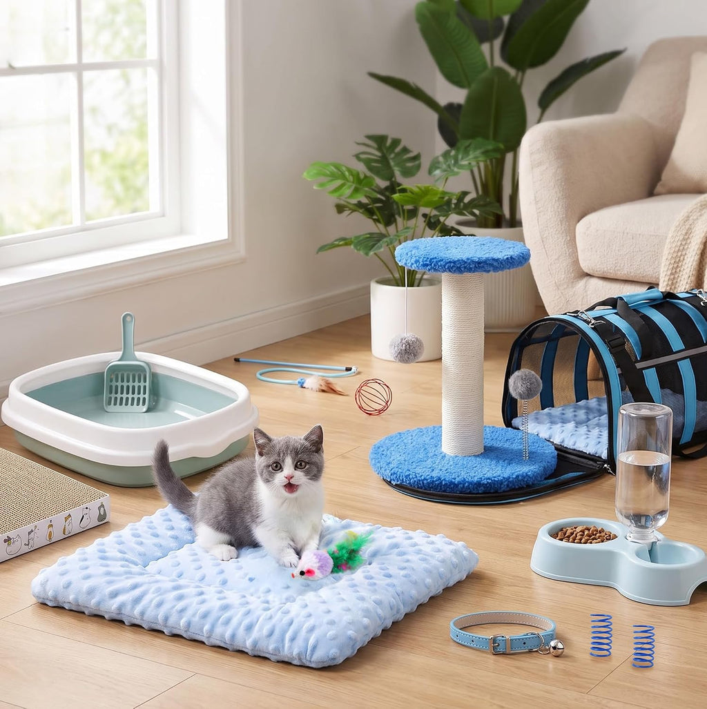 12 Pcs Kitten Starter Kit for Indoor Cats, Kitten Essentials, Blue