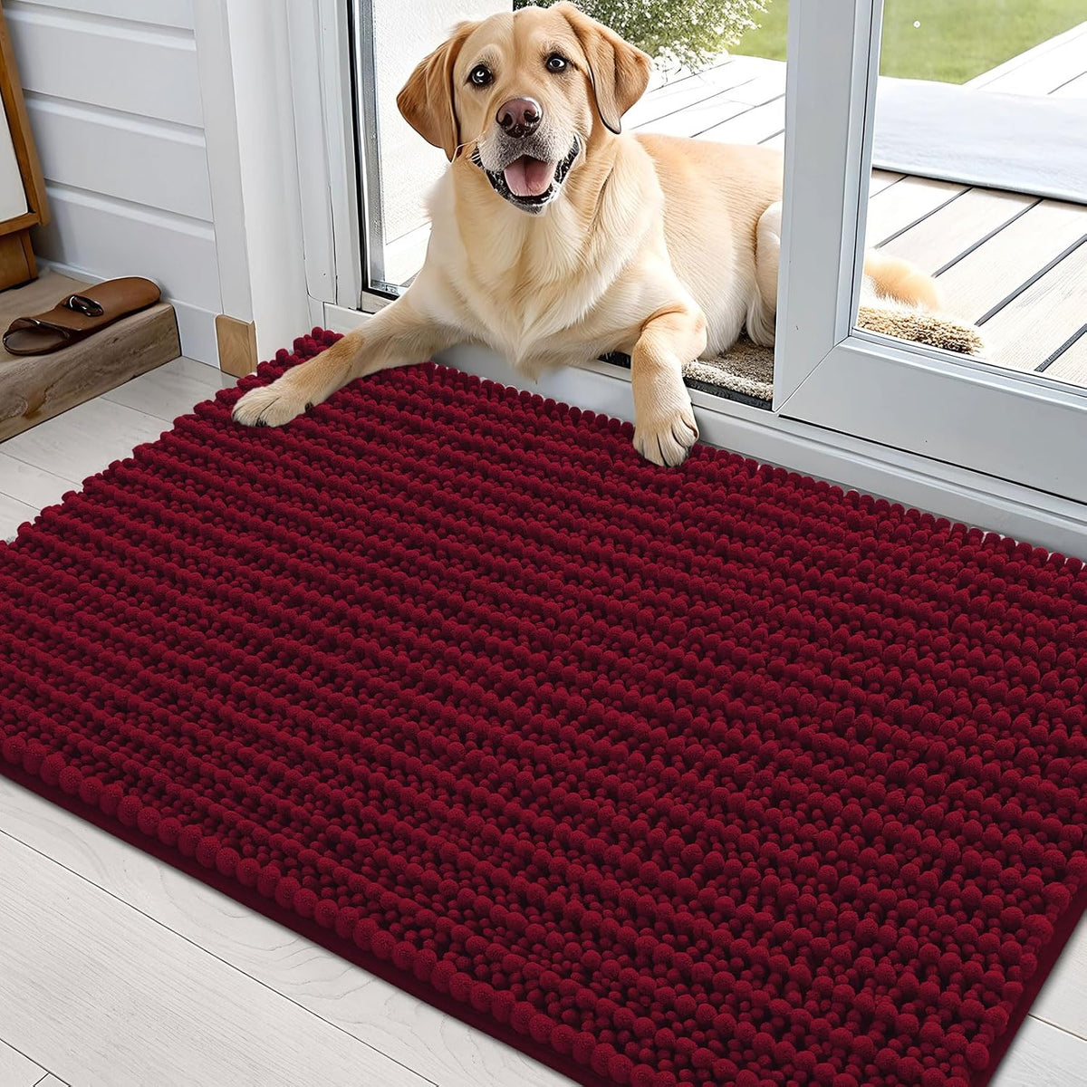 OLANLY Dog Door Mat for Muddy Paws 30x20, Ultra-Absorbent Chenille Mud Mat
