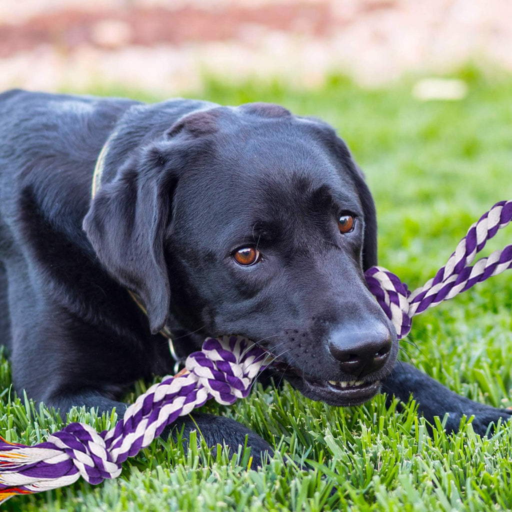 Large Tough Chew Toys for Aggressive Chewers, 9 Pack Dog Rope Toys
