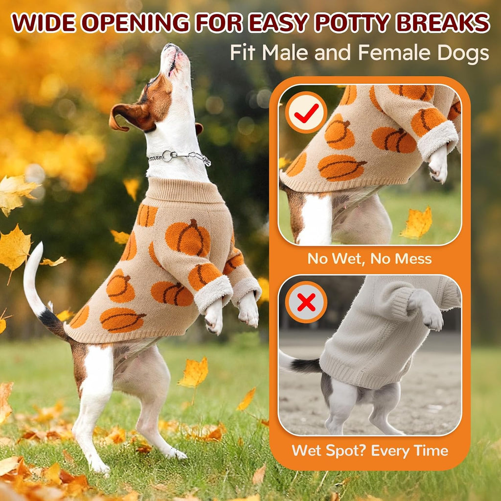 Dog Halloween Costumes Pumpkin Dog Sweater, Fall Sweaters (2XL)