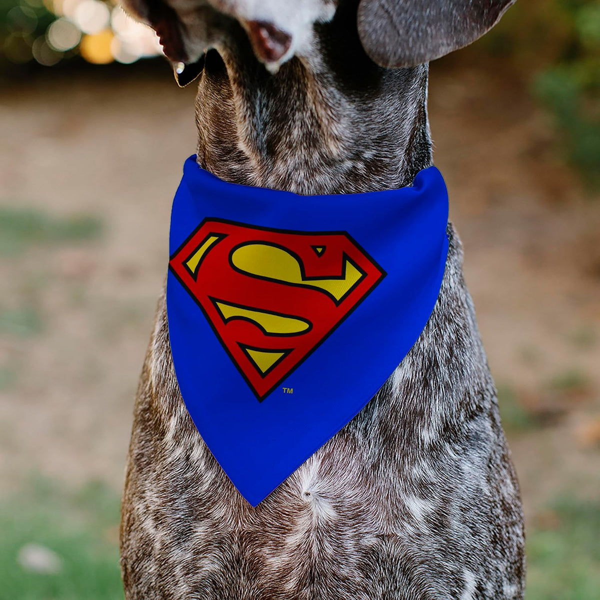 DC Comics Pet Bandana Slide On Slip Through