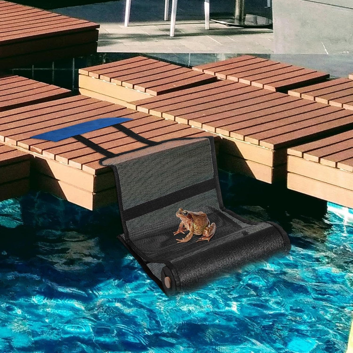 Animal Saver for Swimming Pools Blue Escape Ramp Compact and Saving
