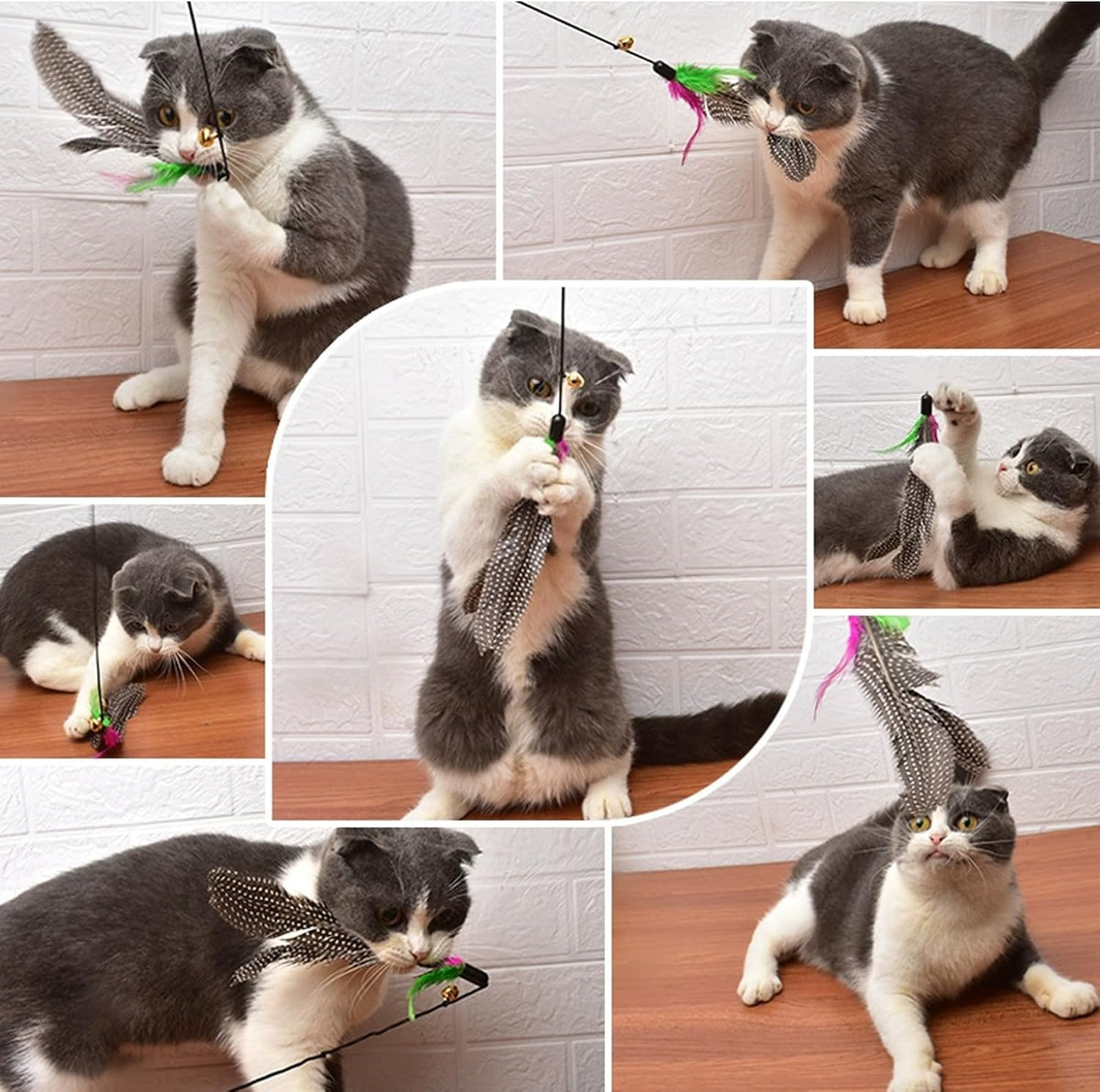 8PCS Cat Toys Feathers Replacements 7.9'' Natural Cat Wand Toy Replacements with Loop Long-Lasting Fishing Pole Toy for 