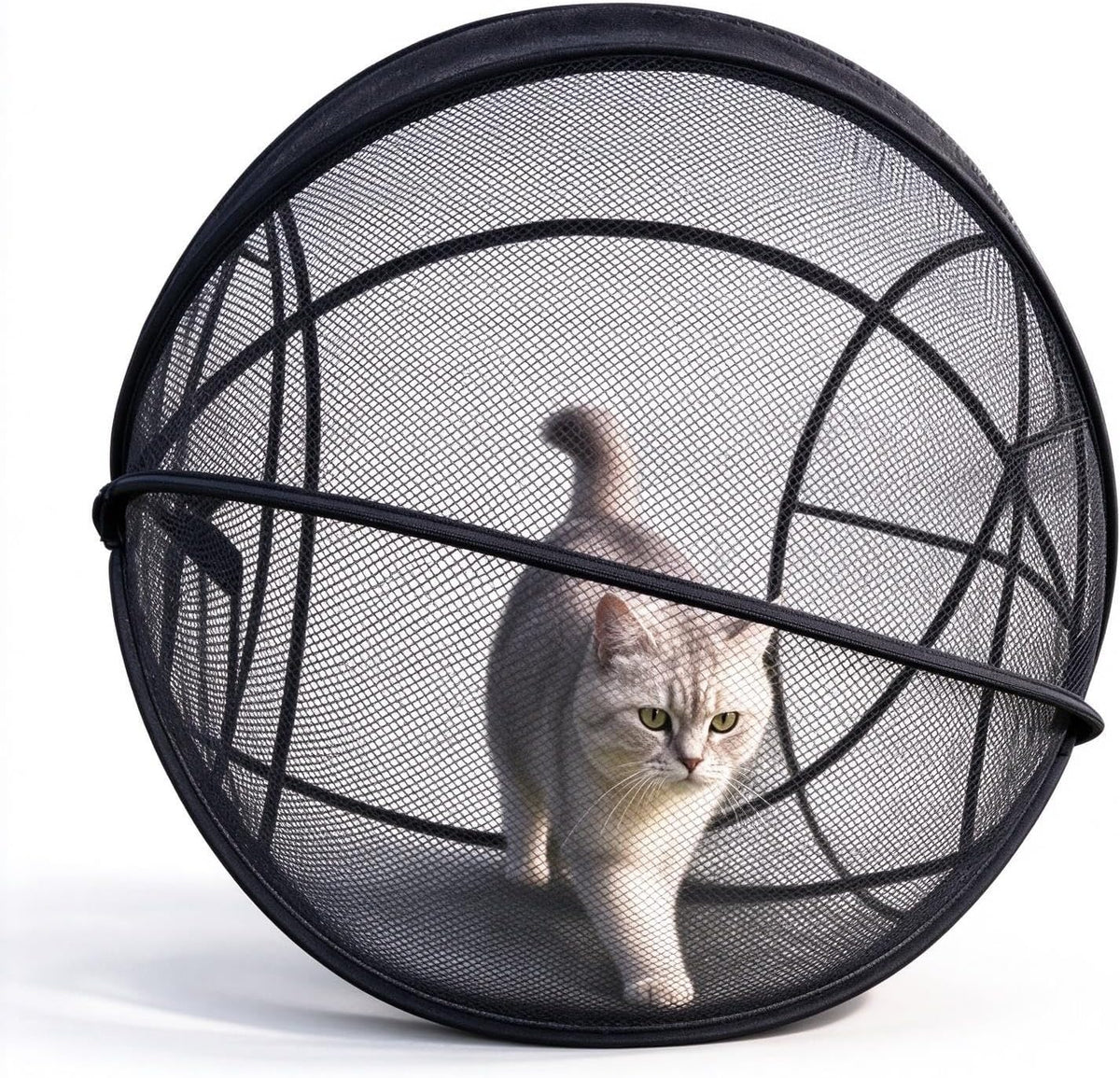 360° Panoramic Pop-Up Rolling Cat Playpen Ball Cat Playpen, Mesh Cat Tent