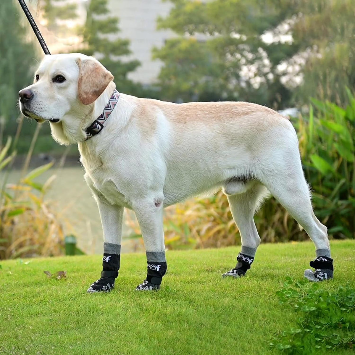 Dog Socks Shoes for Hot Pavement to Prevent Licking Paws, Winter Dog Boots&Paw Protector for Hardwood Floors Anti Slip,T