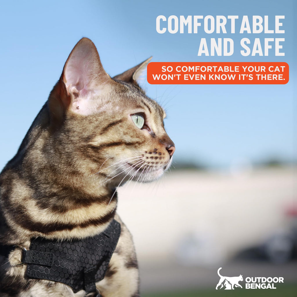 OutdoorBengal Houdini™ Escape Proof Cat Harness and Leash (Black, M/L)