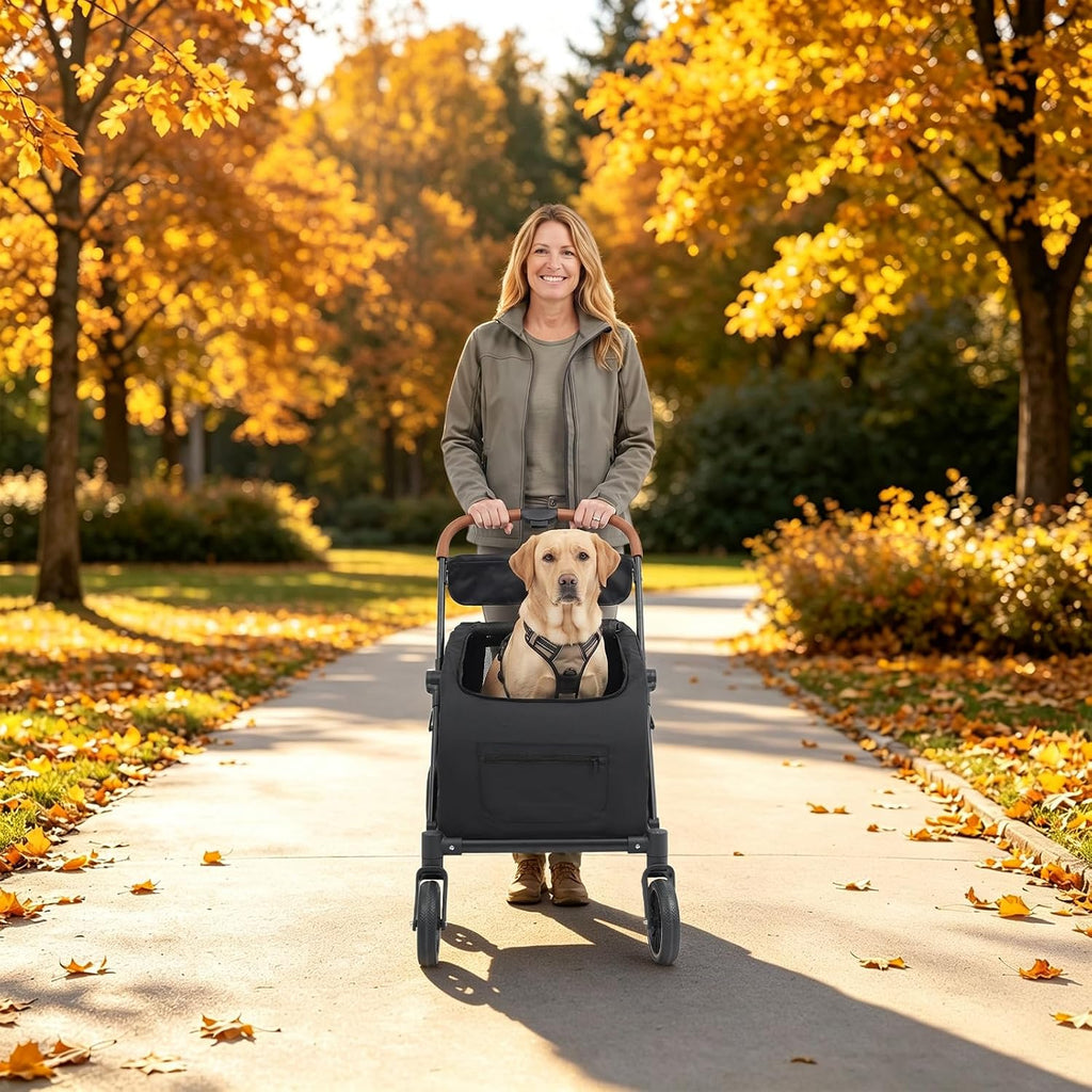 4 Wheel Pet Stroller for Dogs & Cats Foldable Dog Stroller with Detachable