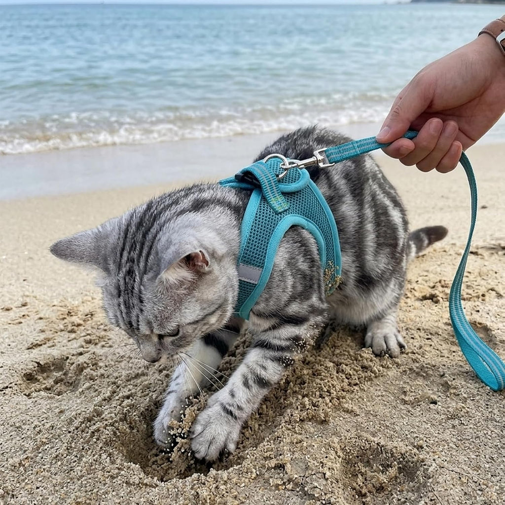 Cat Harness and Leash - Ultra Light Escape Proof Kitten Collar Cat Walking Jacket with Running Cushioning Soft and Comfo