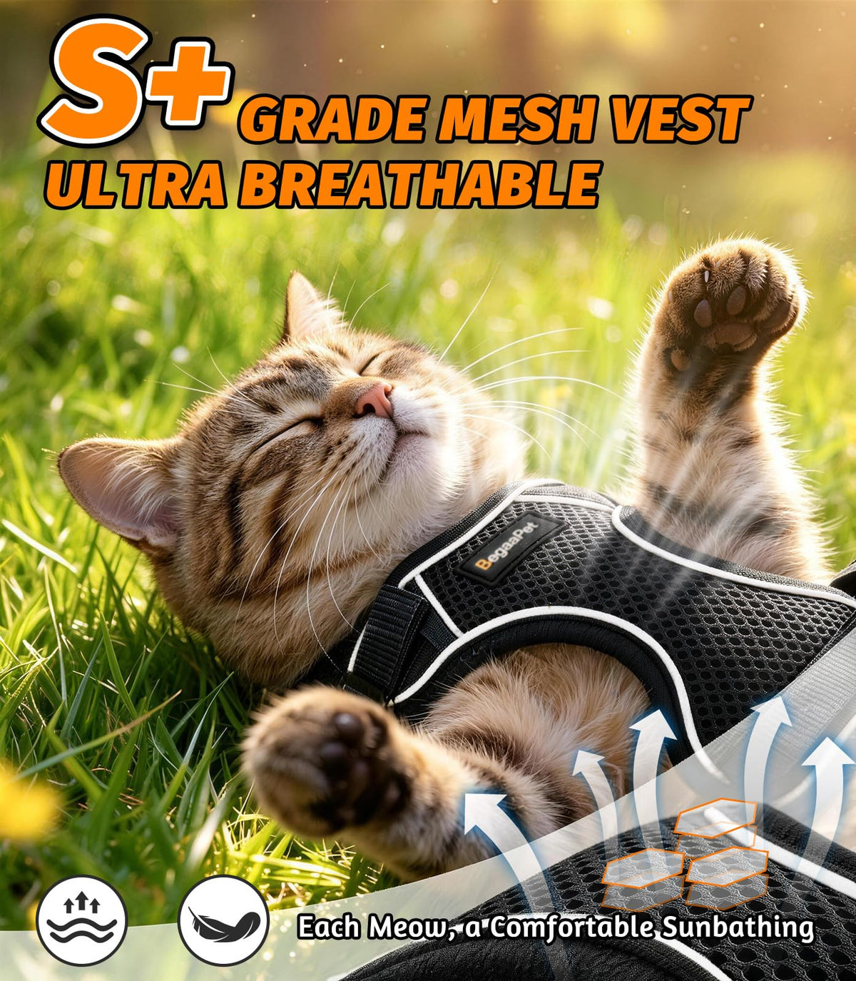 Cat Harness and Leash for Walking, Escape Proof Adjustable Vest Harness