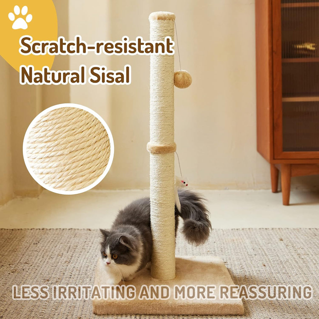 MeowHomm 32” Tall Cat Scratching Posts for Indoor Cats Adults with 2 Hanging Ball, Large Cat Scratch Post Cat Scratcher 