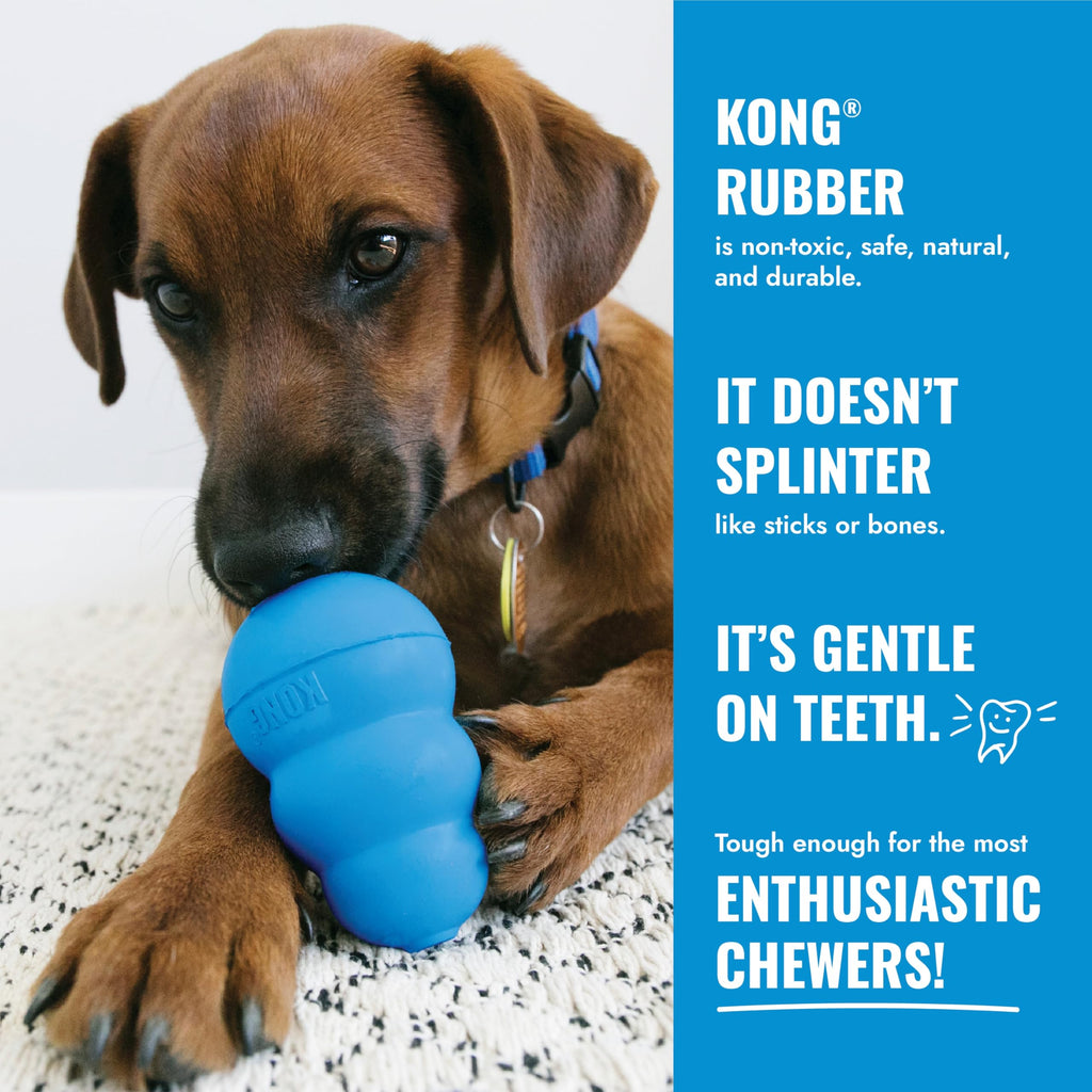 KONG Puppy Goodie Bone, Natural Rubber Chew, for Small Puppies, Blue