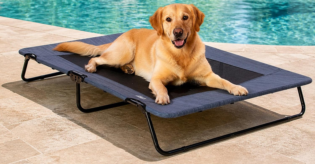 Pet Gear Lifestyle Pet Cot Elevated Bed, 30 Inch, Slate Blue