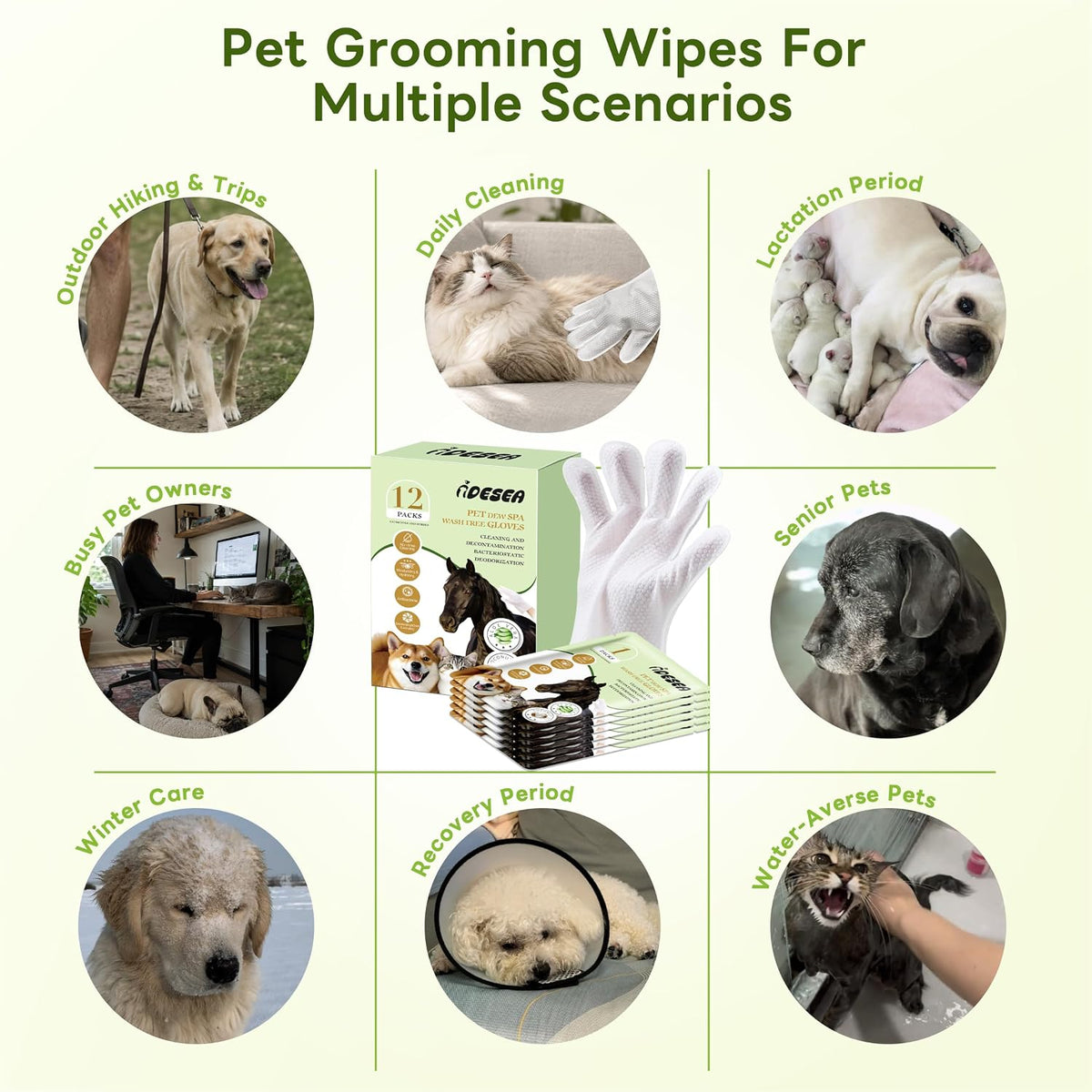 Dog Wipes for Dogs & Cats, Pet Glove Wipes for Paws, Body and Butt