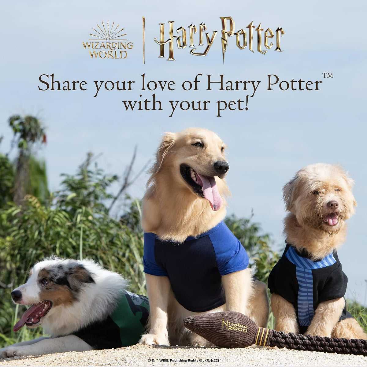 Harry Potter - Golden Snitch, Dog Toy, Plush Squeaker Toy, 11 Inch